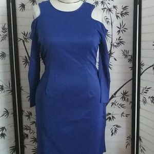 Ashley Stewart Dresses - Spanking brand new in my closet with tags Ashley Stewart Dresses - Spanking brand new in my closet with tags